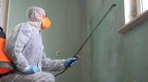 Best Black Mold Removal  in Lakewood Park, TN