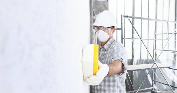 Biohazard Mold Removal in Lakewood Park, TN